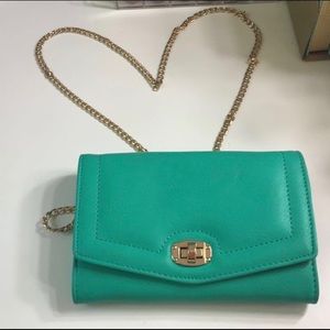 Green Purse with Removable Gold Strap